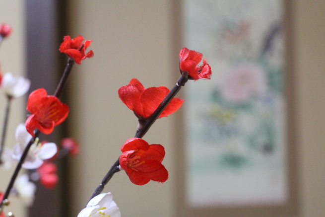 掛け軸を背景に、梅の花が咲いています